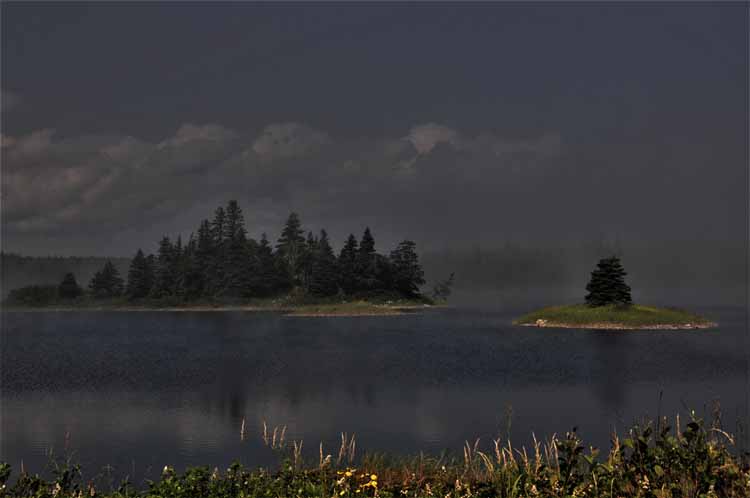 fog rolling in